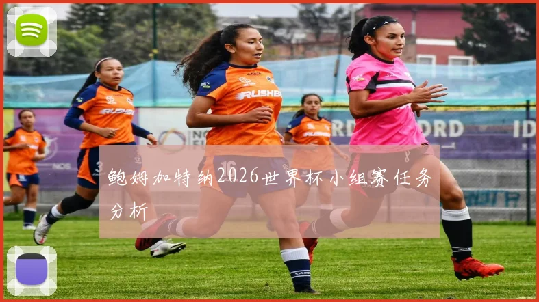 鲍姆加特纳2026世界杯小组赛任务分析