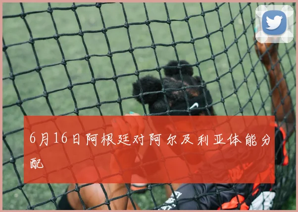 6月16日阿根廷对阿尔及利亚体能分配
