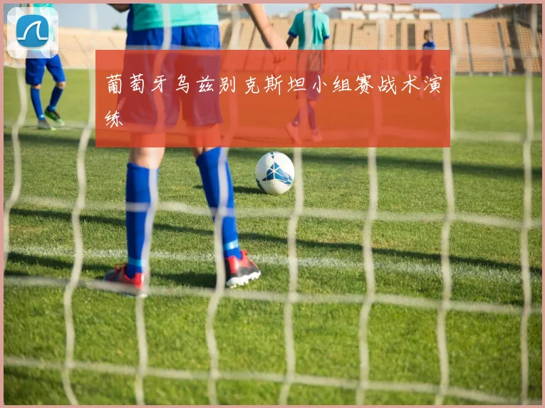 葡萄牙乌兹别克斯坦小组赛战术演练