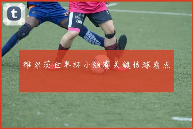维尔茨世界杯小组赛关键传球看点