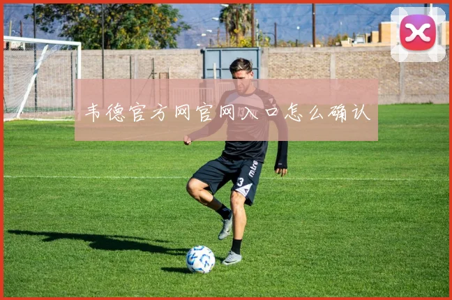 韦德官方网官网入口怎么确认